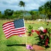 Kauai Hosts Veterans Day Ceremony