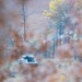 32nd Infantry Brigade Soldiers Fire MAAWS at Fort McCoy