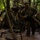 U.S., Brazilian soldiers conduct river and jungle movement to conduct mock-assault U.S., Brazilian soldiers conduct river and jungle movement to conduct mock-assault