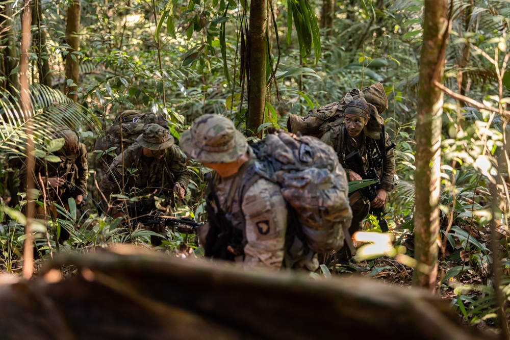 U.S., Brazilian soldiers conduct river and jungle movement to conduct mock-assault