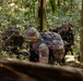 U.S., Brazilian soldiers conduct river and jungle movement to conduct mock-assault