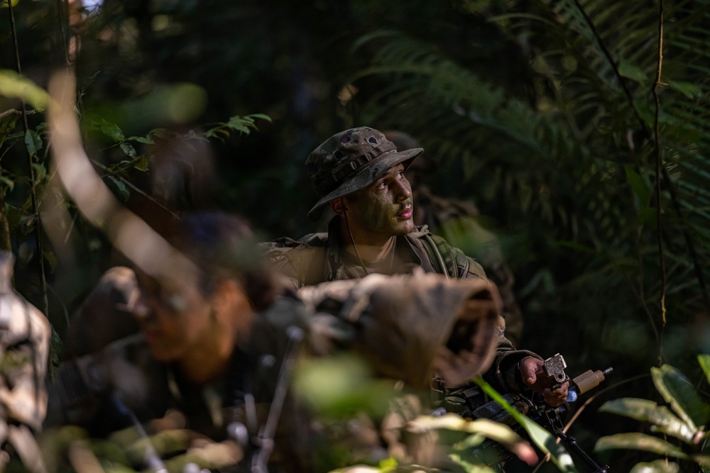 U.S., Brazilian soldiers conduct river and jungle movement to conduct mock-assault