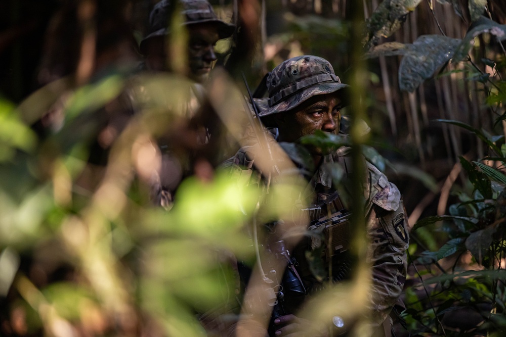 U.S., Brazilian soldiers conduct river and jungle movement to conduct mock-assault