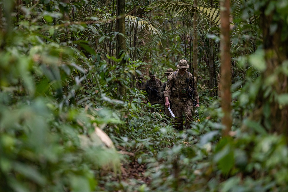 U.S., Brazilian soldiers conduct river and jungle movement to conduct mock-assault