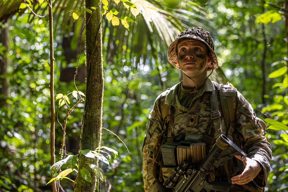 U.S., Brazilian soldiers conduct river and jungle movement to conduct mock-assault