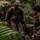 U.S., Brazilian soldiers conduct river and jungle movement to conduct mock-assault U.S., Brazilian soldiers conduct river and jungle movement to conduct mock-assault
