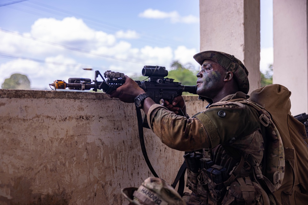 U.S., Brazilian soldiers conduct river and jungle movement to conduct mock-assault