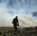 Fort McCoy prescribed burn team manages mid-November prescribed burn at installation