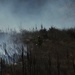 Fort McCoy prescribed burn team manages mid-November prescribed burn at installation