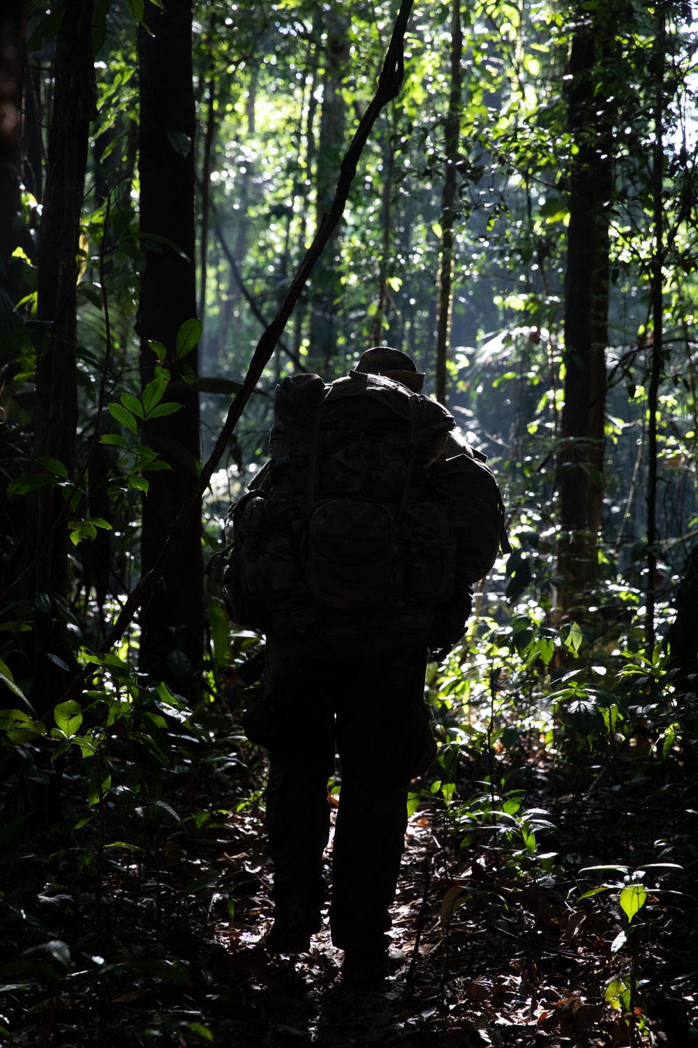 U.S. and Brazilian Soldiers Conduct Troop Movements and Mock Assault During SV24