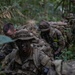 U.S. and Brazilian Soldiers Conduct Troop Movements and Mock Assault During SV24