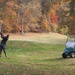 Medal of Honor Golf Course hosts Manpower Management Enlisted Assignments Golf Tournament