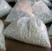 Fentanyl Seizure at the Port of Nogales