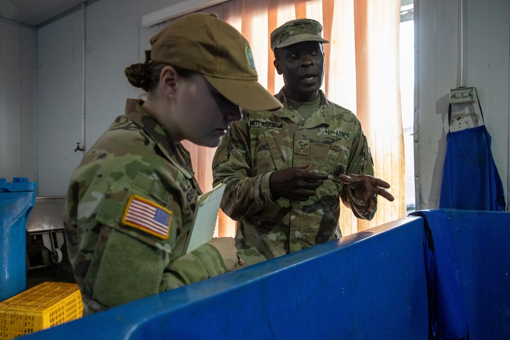 Pacific Partnership 2023: U.S. Army conducts Food Inspection Training in Tonga