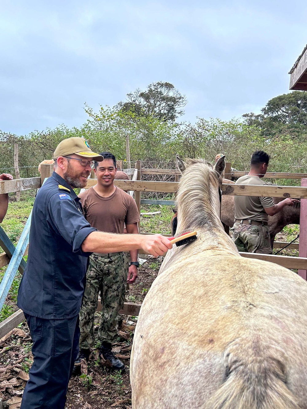 Pacific Partnership 2023: Tongan Royal Horses Check-up