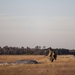 24th MEU MSPF Conducts Parachute Insertion