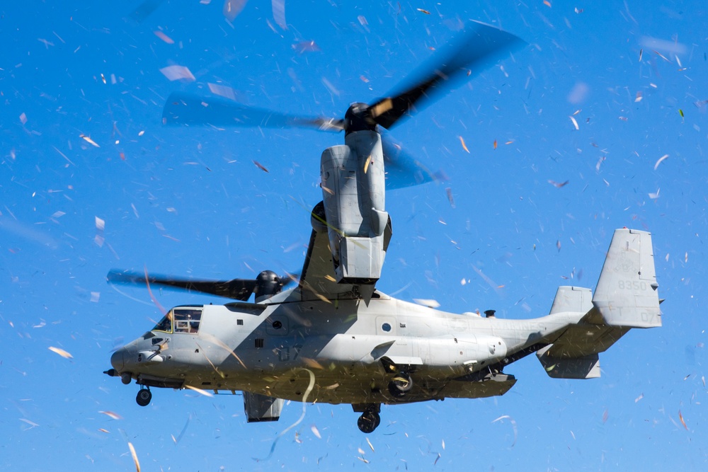 Resolute Dragon 23 | 1st MAW, JGSDF Conduct Bilateral Forward Arming and Refueling Point at Camp Jumonjibaru