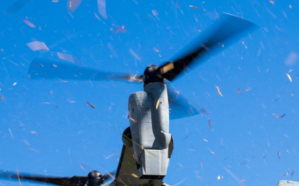 Resolute Dragon 23 | 1st MAW, JGSDF Conduct Bilateral Forward Arming and Refueling Point at Camp Jumonjibaru