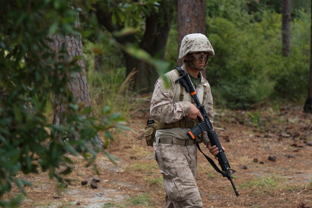 DVIDS - Images - Hotel Co. Basic Warrior Training [Image 2 Of 4]