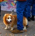 1st Special Forces Command (Airborne ) Trunk or Treat 2023