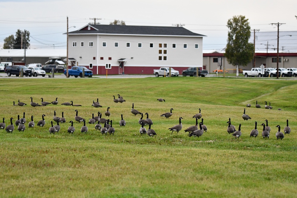 Keeping people and birds safe in the air is interagency effort