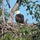 Keeping people and birds safe in the air is interagency effort