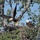 Keeping people and birds safe in the air is interagency effort