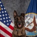 CFAY Military Working Dog Studio Portrait