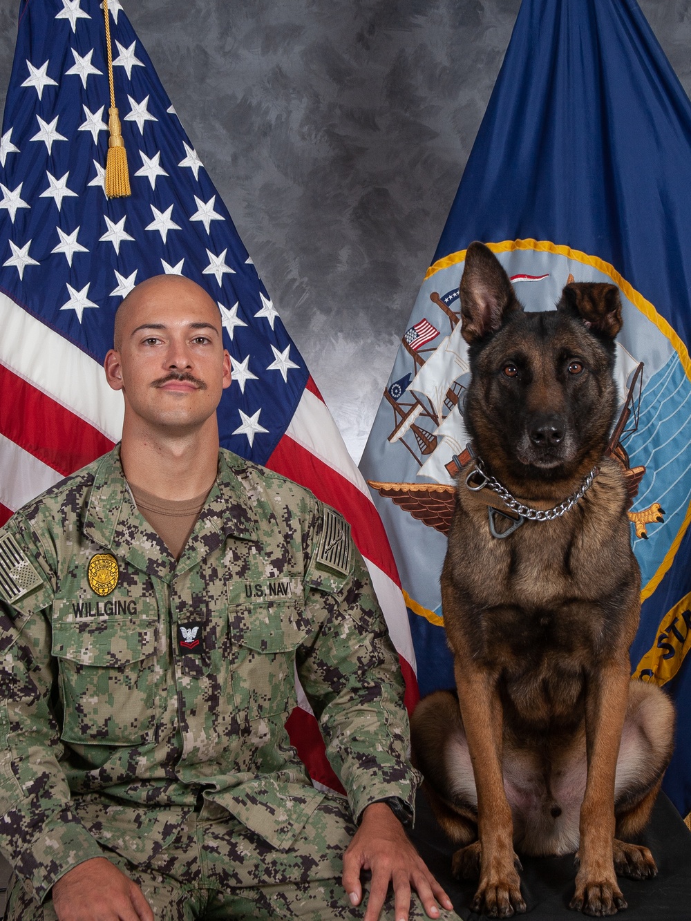 CFAY Military Working Dog Studio Portrait