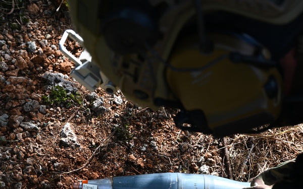 Andersen AFB hosts joint EOD training