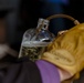 USS Carl Vinson (CVN 70) Sailors Conduct Fueling-at-Sea