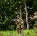 U.S., Brazilian soldiers conduct river and jungle movement to conduct mock-reconnaissance