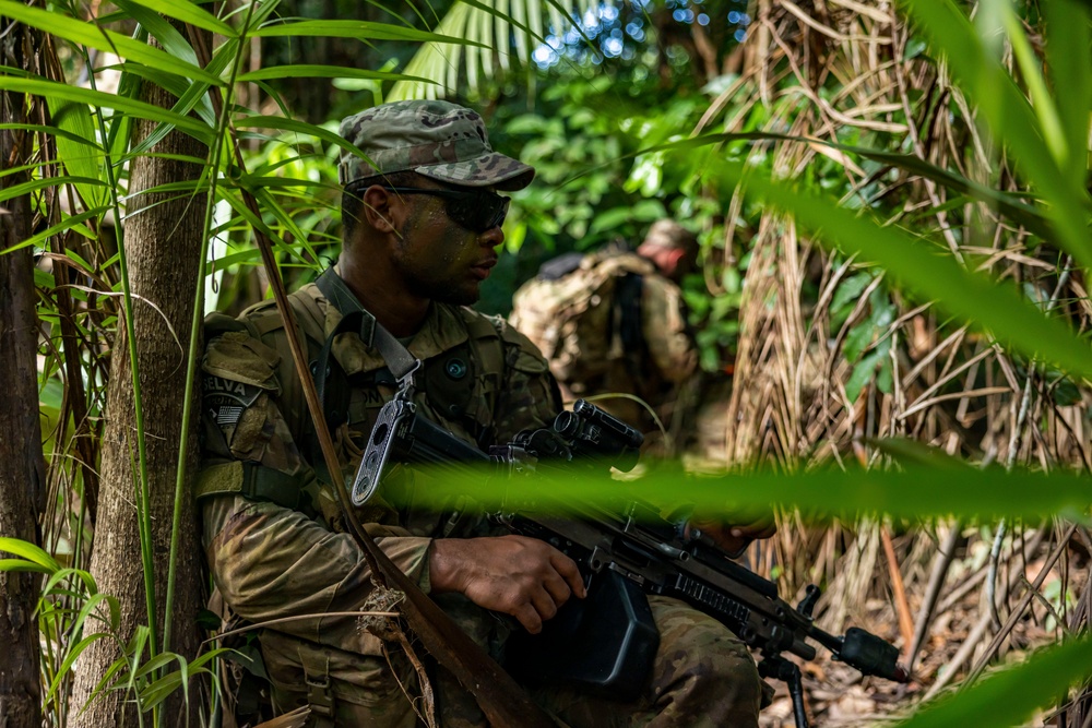 U.S., Brazilian soldiers conduct river and jungle movement to conduct mock-reconnaissance