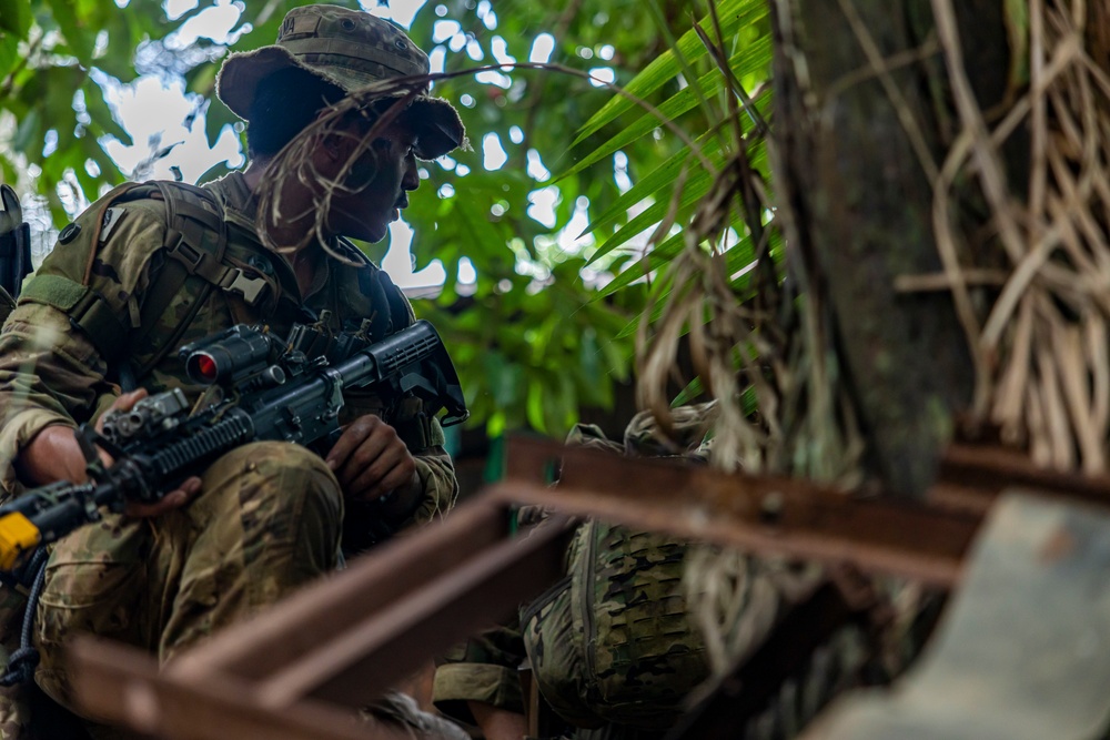 U.S., Brazilian soldiers conduct river and jungle movement to conduct mock-reconnaissance