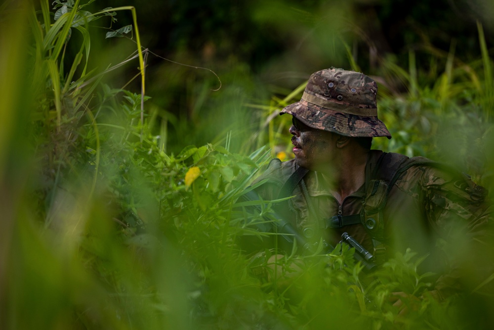 U.S., Brazilian soldiers conduct river and jungle movement to conduct mock-reconnaissance