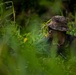 U.S., Brazilian soldiers conduct river and jungle movement to conduct mock-reconnaissance