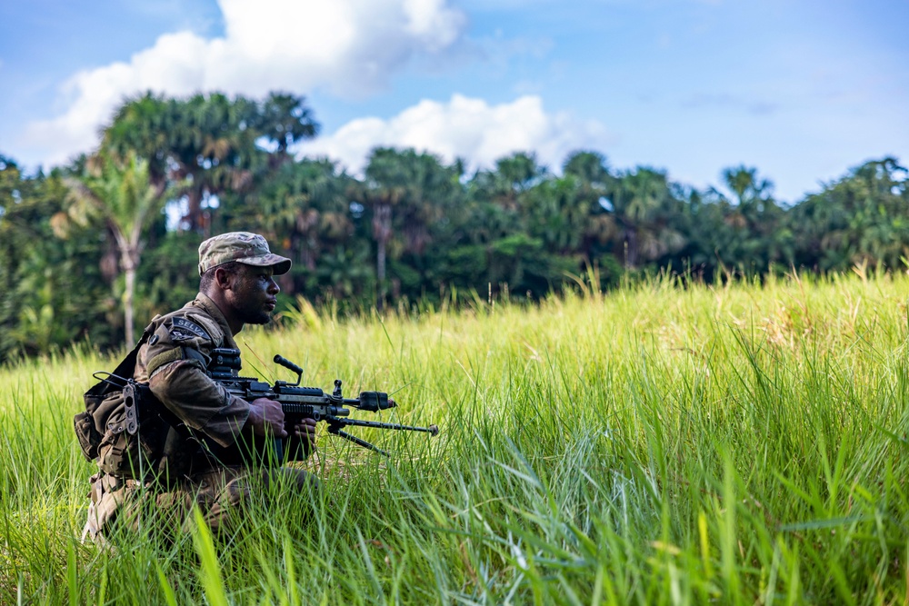 U.S., Brazilian soldiers conduct river and jungle movement to conduct mock-reconnaissance