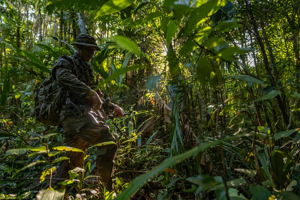 U.S., Brazilian soldiers conduct final movement and assault in front of SV24 Distinguished Visitors