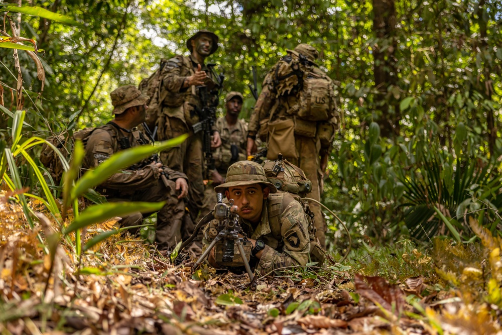 U.S., Brazilian soldiers conduct final movement and assault in front of SV24 Distinguished Visitors