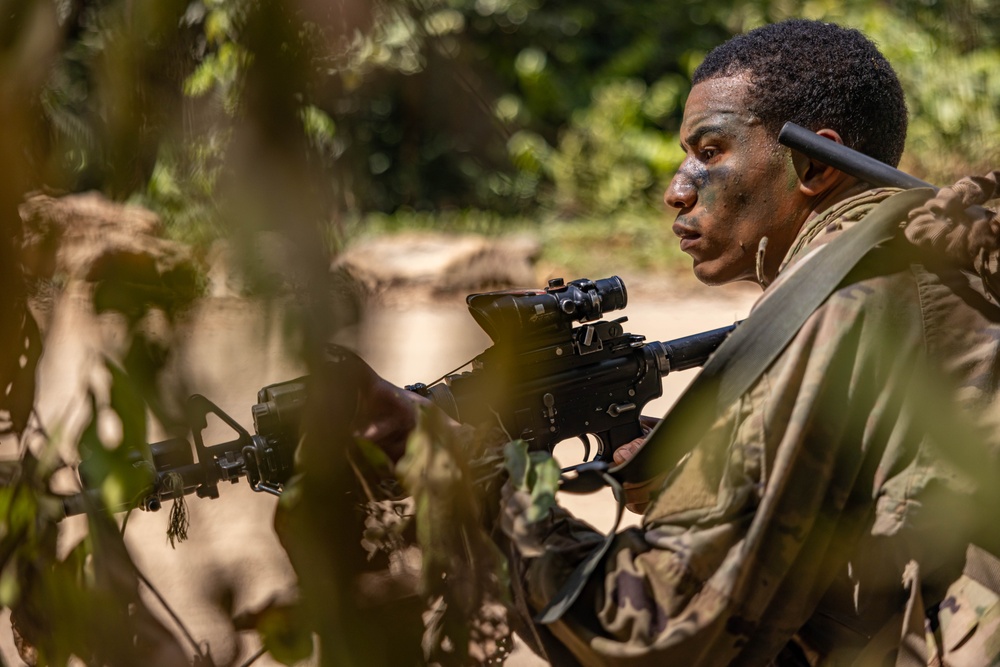 U.S., Brazilian soldiers conduct final movement and assault in front of SV24 Distinguished Visitors