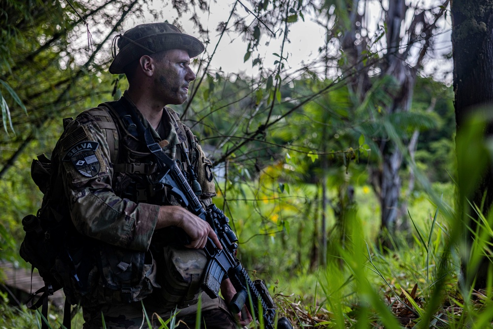 U.S., Brazilian soldiers conduct river and jungle movement to conduct mock-reconnaissance