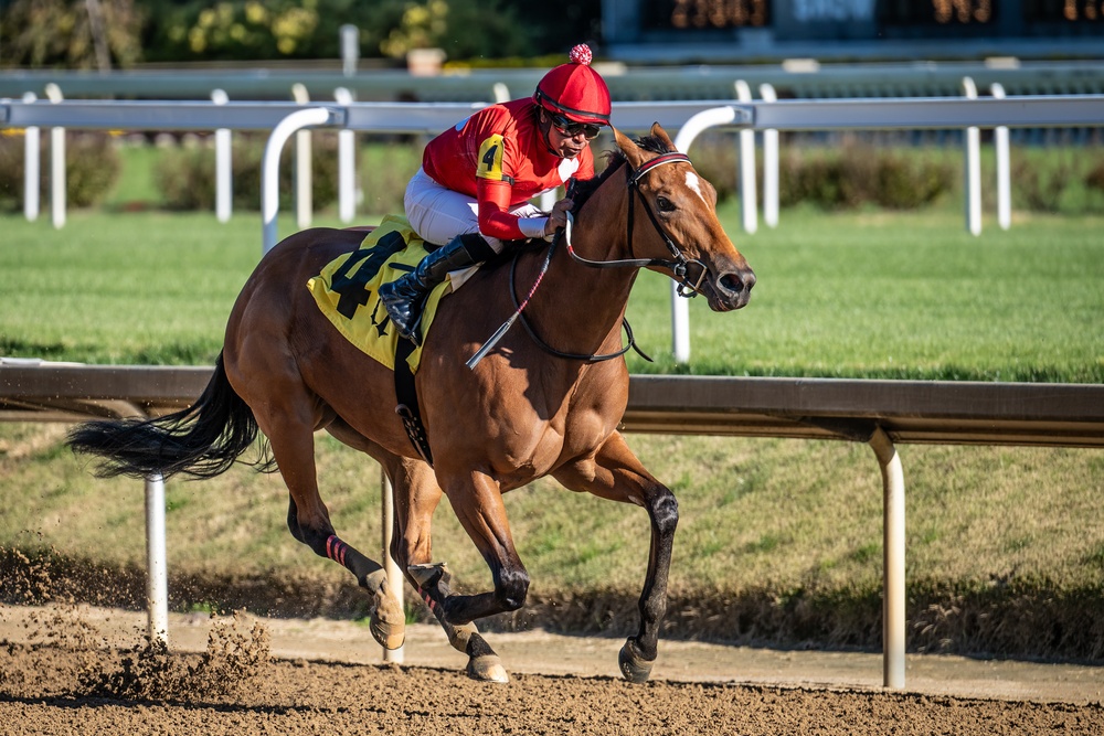 Program honors family of fallen at Churchill Downs