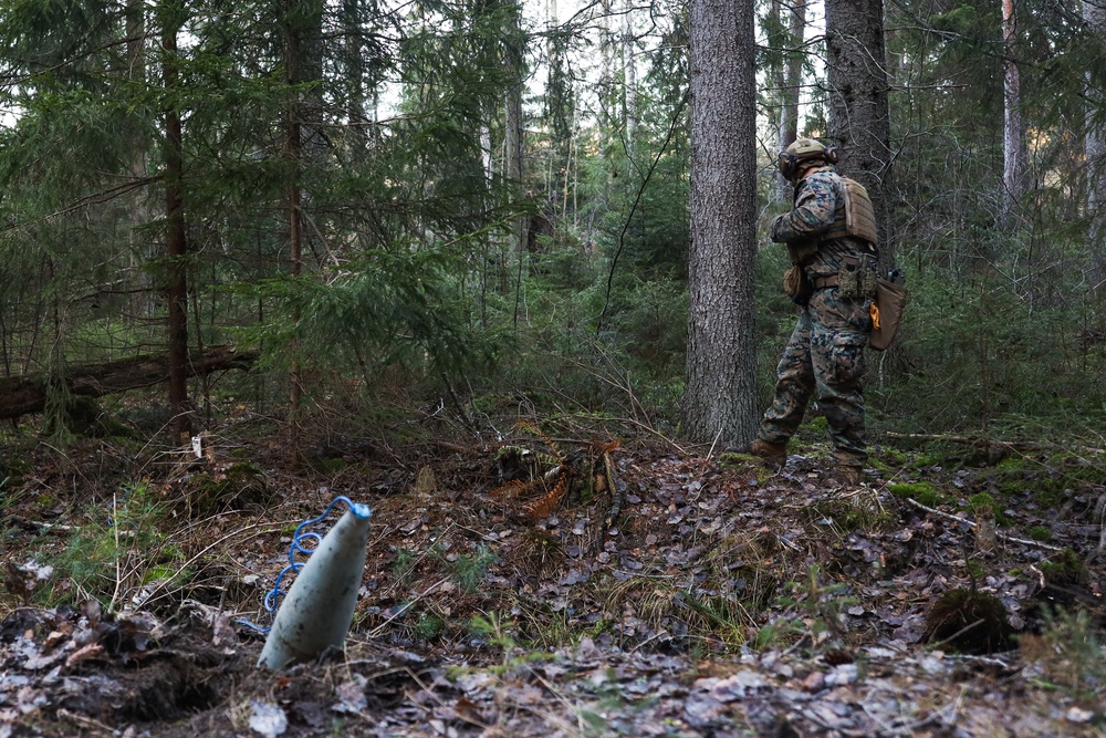 Marines with CLB-6 and Finnish Service Members with Coastal Brigade Conduct Explosive Ordnance Disposal Training