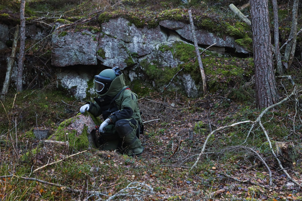 Marines with CLB-6 and Finnish Service Members with Coastal Brigade Conduct Explosive Ordnance Disposal Training