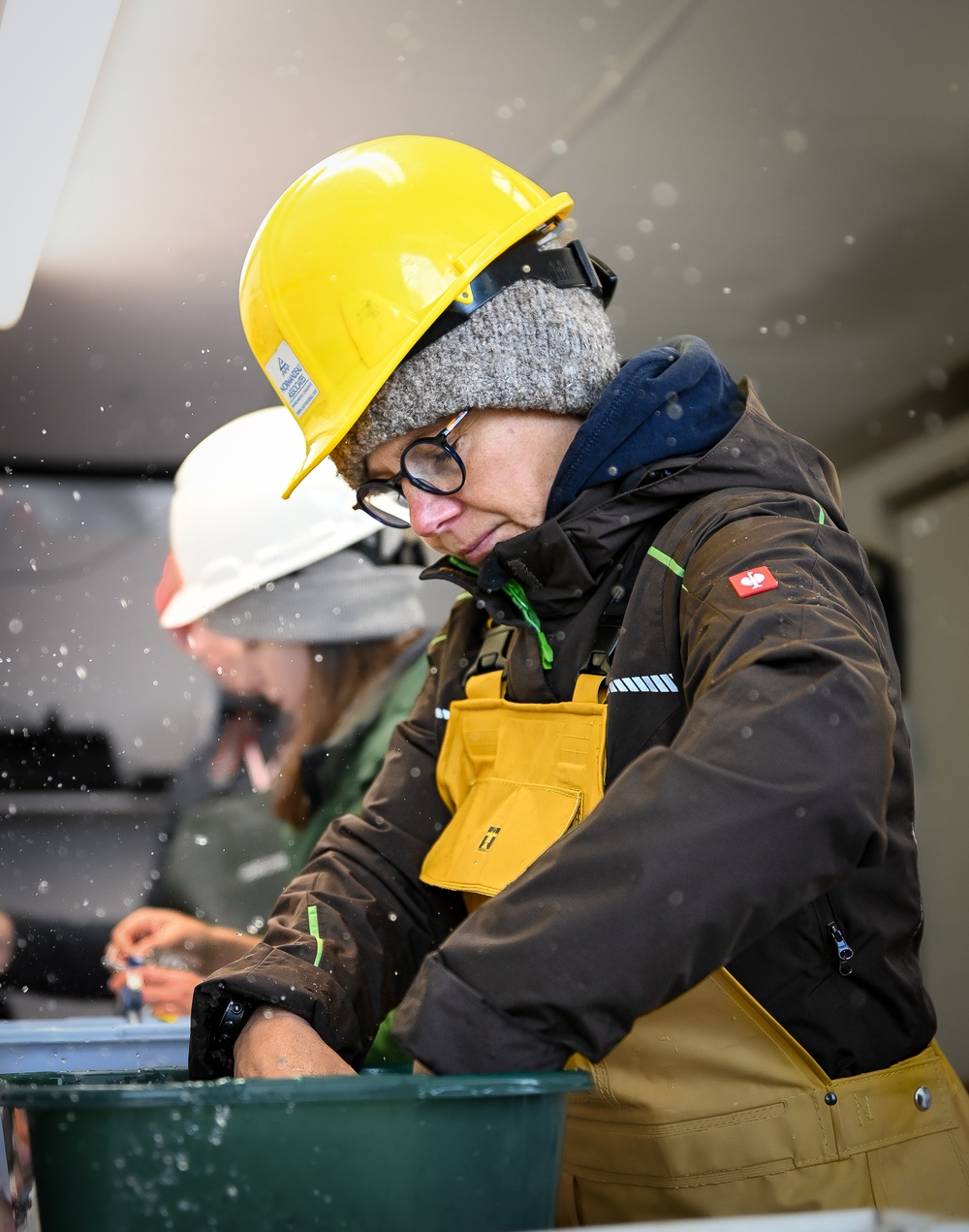 Ice Harbor Lock and Dam Fish Survival Testing