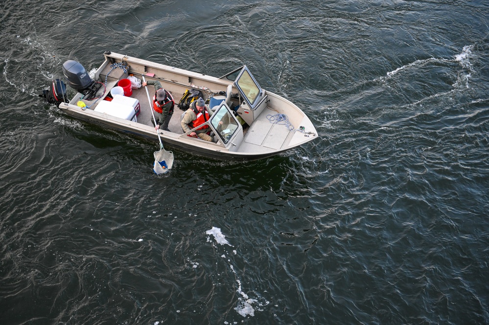 Ice Harbor Lock and Dam Fish Survival Testing