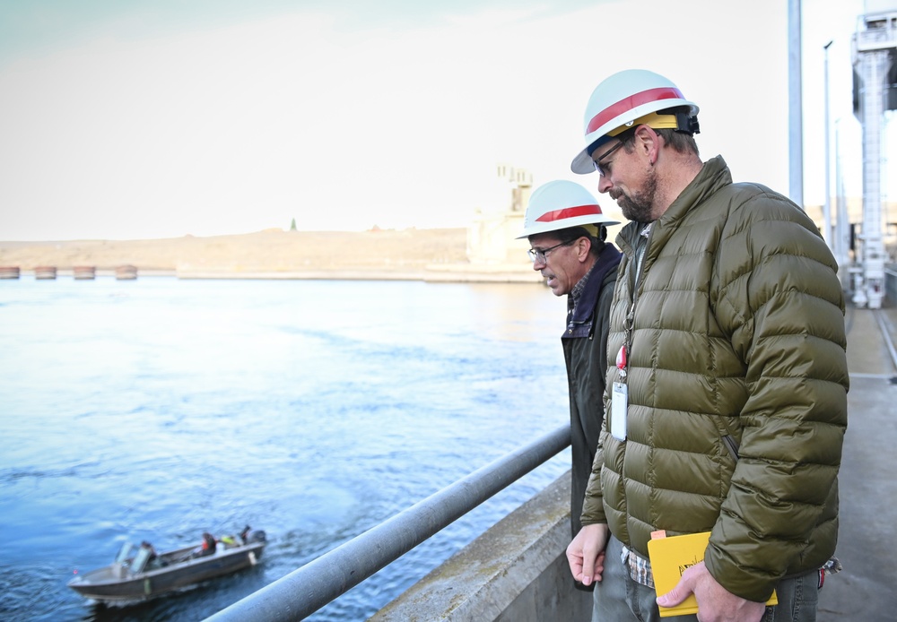 Ice Harbor Lock and Dam Fish Survival Testing