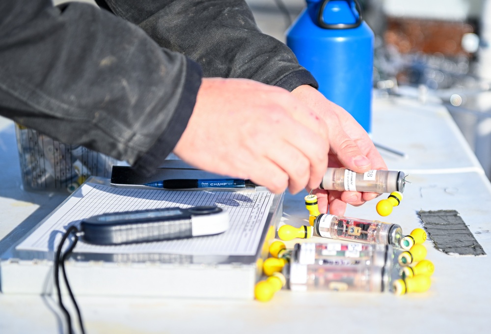 Ice Harbor Lock and Dam Fish Survival Testing