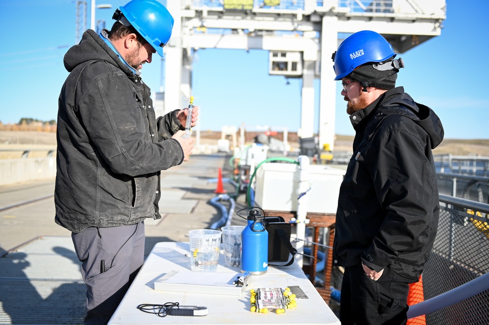 Ice Harbor Lock and Dam Fish Survival Testing