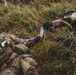 Royal Military Academy Sandhurst Officer Cadets train at Grafenwoehr Training Area